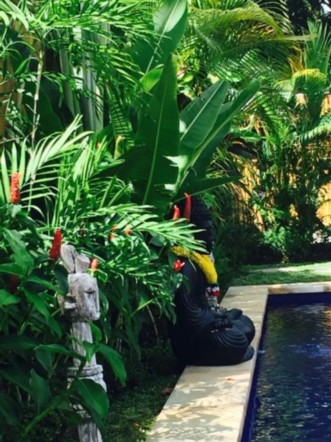 Готель Kayu Bali Чангу Екстер'єр фото