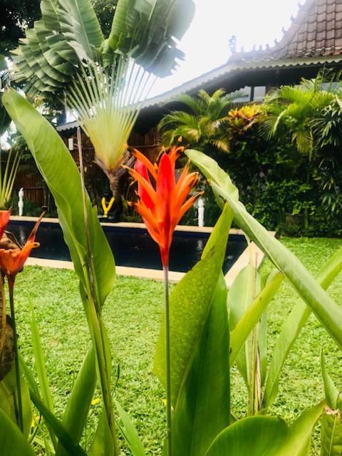 Готель Kayu Bali Чангу Екстер'єр фото